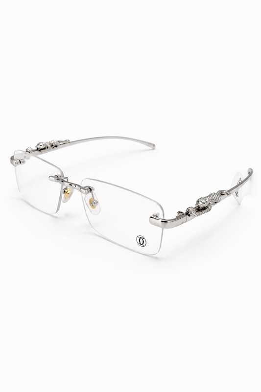 CTR SILVER FRAME