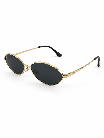 RB RETRO OVAL Sunglasses